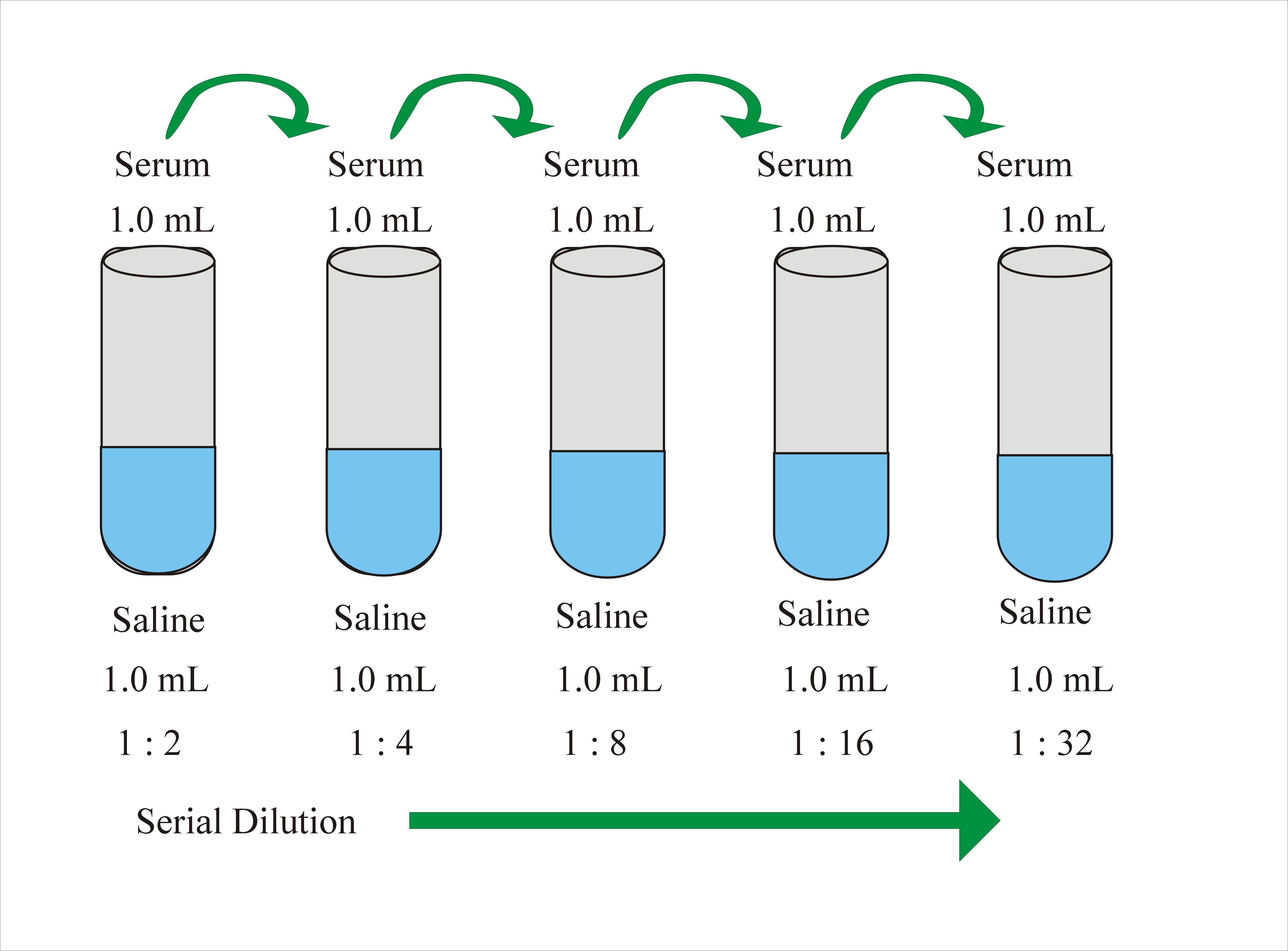 serial-dilution-calculation-examples-borenew